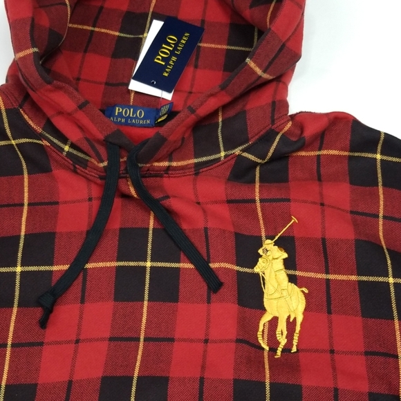 Polo Ralph Lauren Big Pony Hoodie - Picture 2 of 6